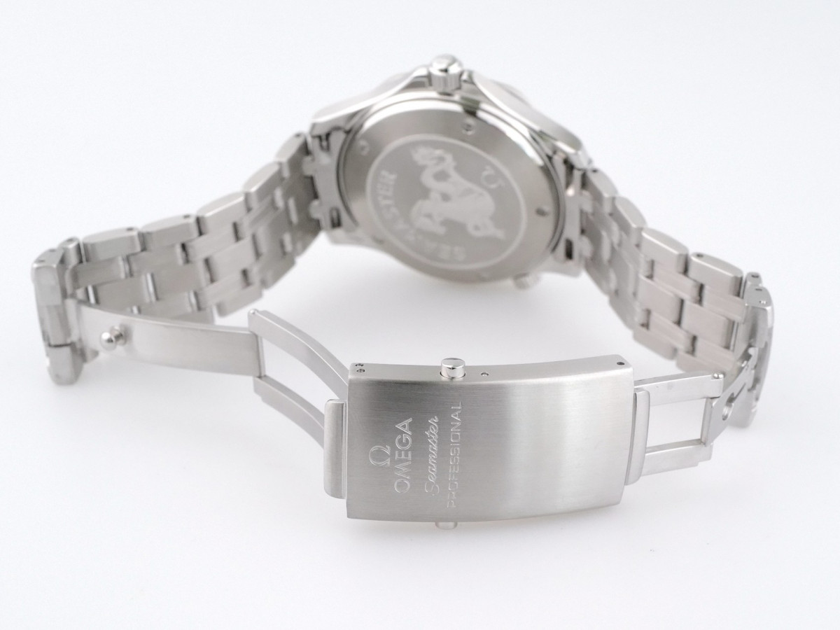 Швейцарские часы Omega Seamaster Diver 300 Co-Axial 41