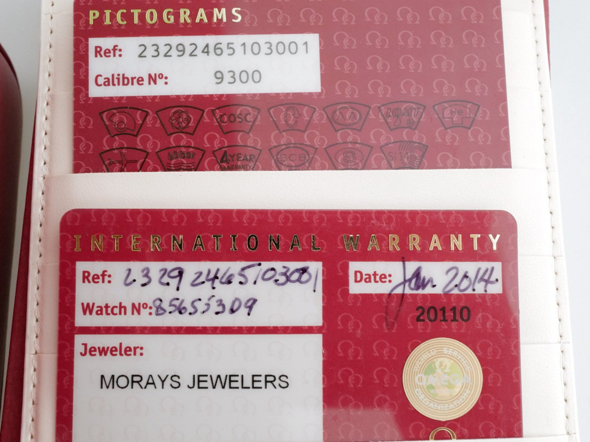 Швейцарський годинник Omega Seamaster Planet Ocean 600M Co‑Axial Chronograph 45.5mm Titanium Blue