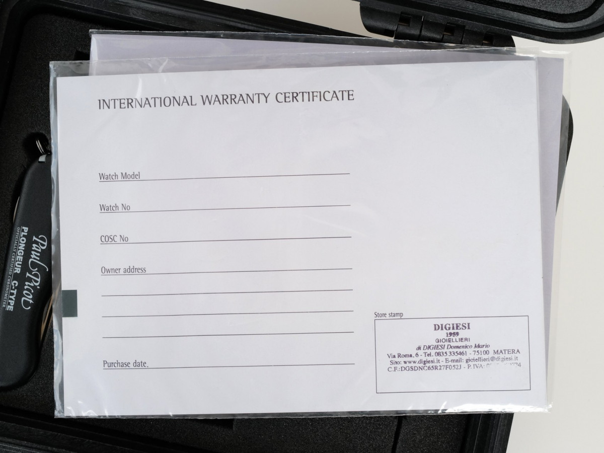 Swiss watch Paul Picot Le Plongeur C-Type