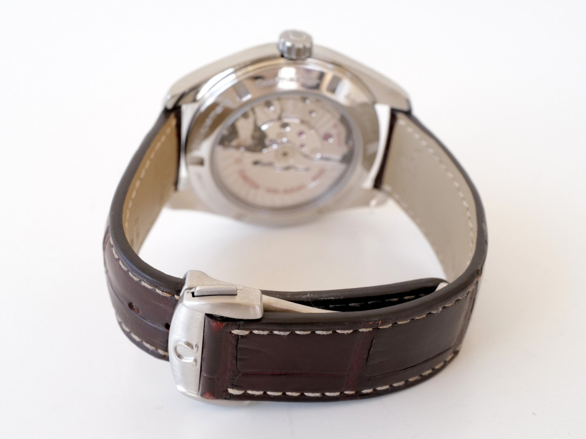 Швейцарские часы Omega Seamaster Aqua Terra Grey Dial 41