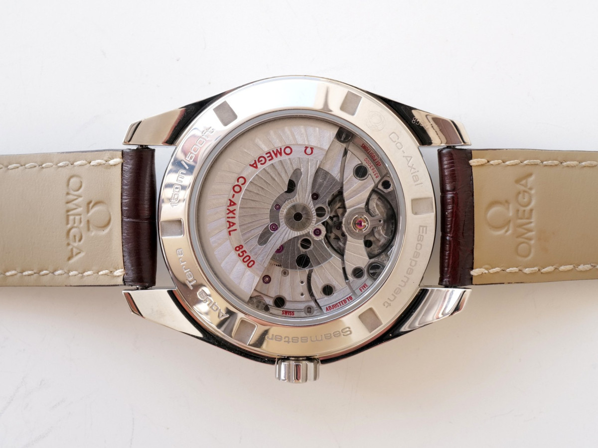 Швейцарские часы Omega Seamaster Aqua Terra Grey Dial 41