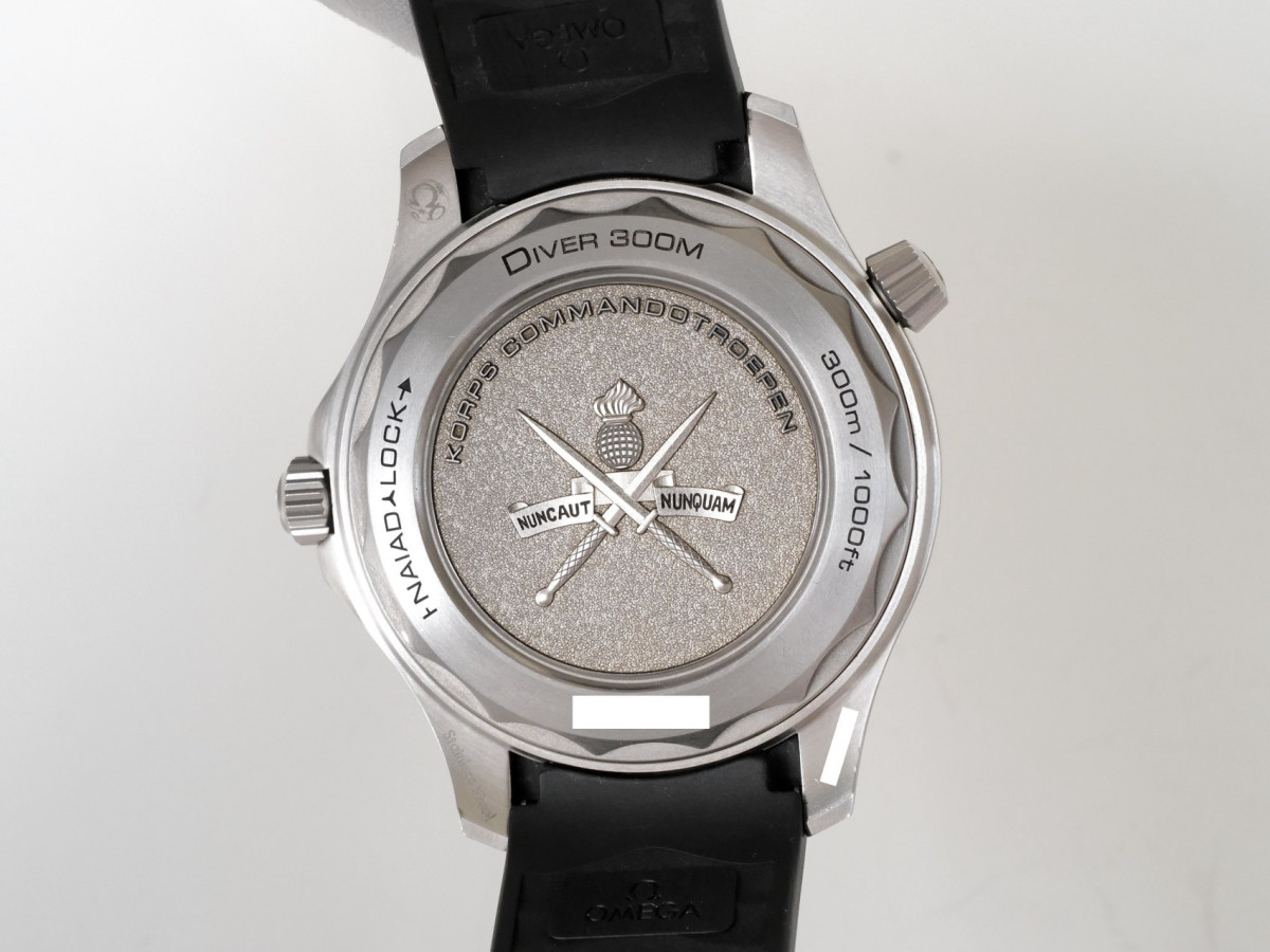 Swiss watch Omega Seamaster Diver 300M Ceramic Bezel Special Edition 42