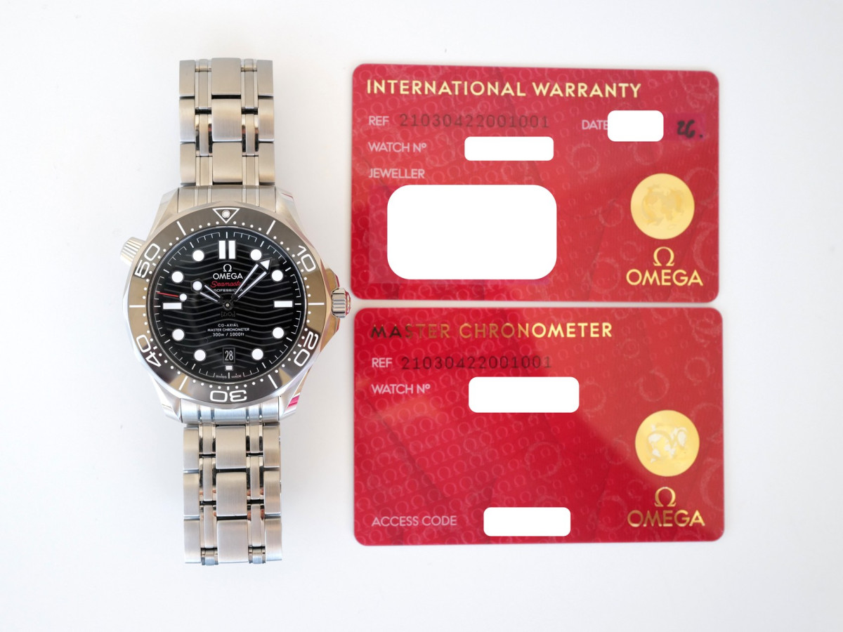 Швейцарские часы Omega Seamaster Diver 300M Black Dial 42